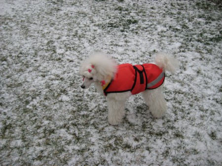 Dorly 7. den po porodu